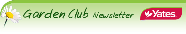 Yates Garden Club Newsletter